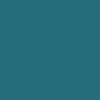 POLO HOMBRE PIQUÉ 190GSM | NW028237 - Azul Agua