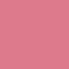 CAMISETA ICÓNIC 155GSM | STTU170 - Canyon Pink