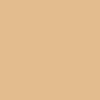 CAMISETA ICÓNIC 155GSM | STTU170 - Desert Dust