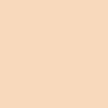 POLO PREMIUM 210GSM | 529.42 - Nude